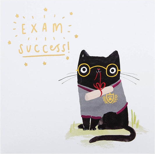 Cute Illustrated Cat Design Exam Success Congratulations Card