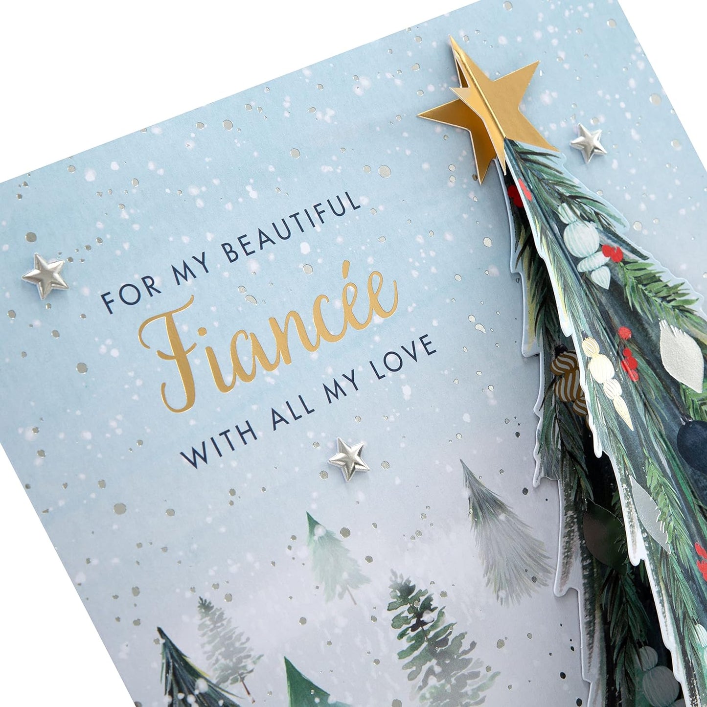 Classic Winter Scene with Tree Design Boxed Christmas Card for Fiancée