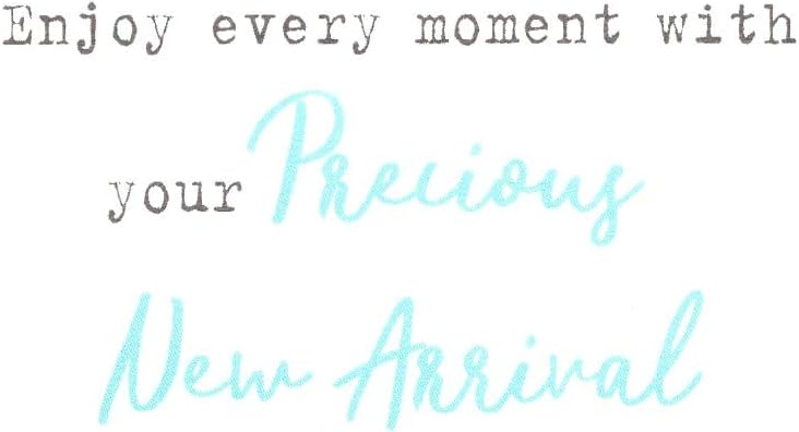 Blue Stork New Baby Boy Congratulations Card