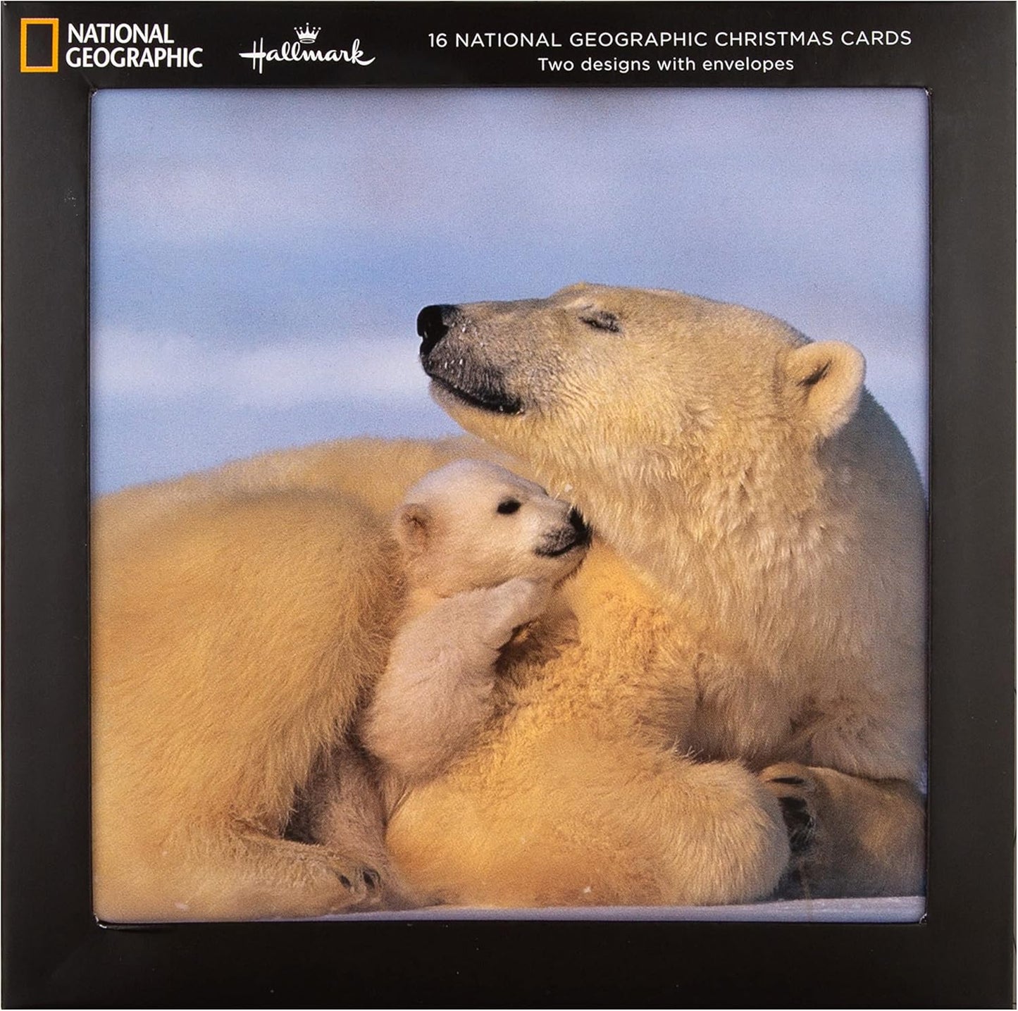 National Geographic Pack of 16 in 2 Designs Christmas Cards