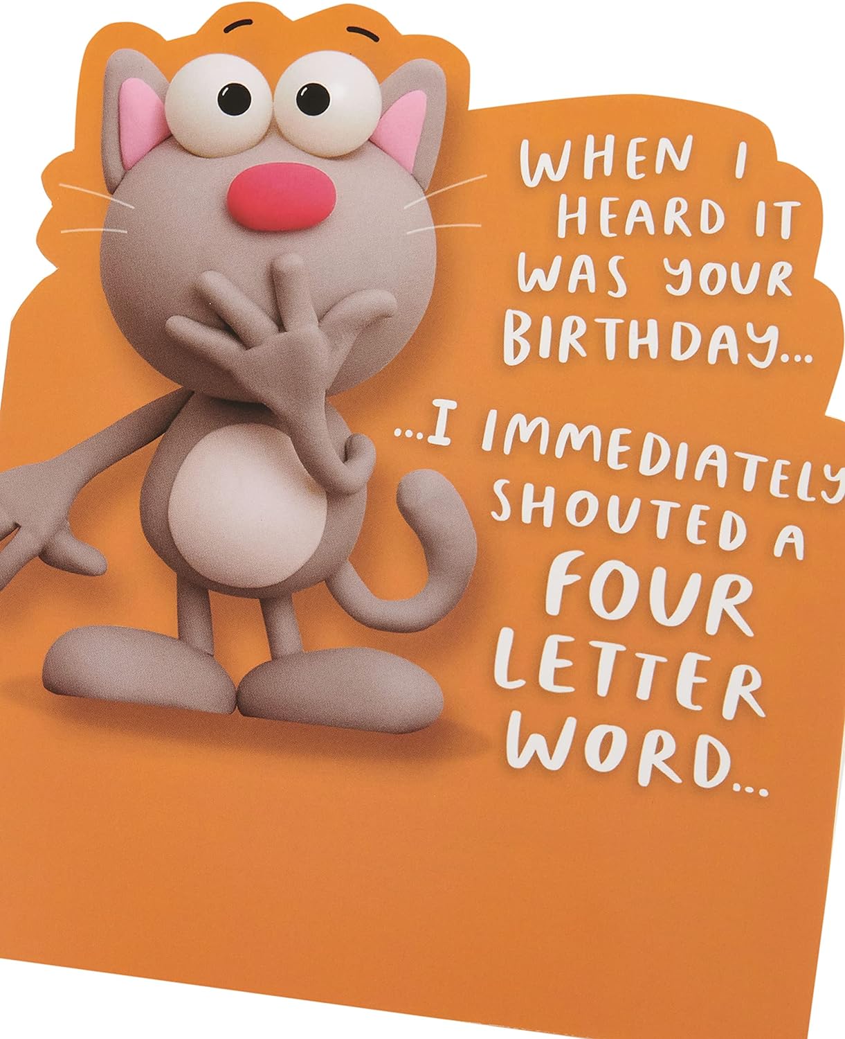 Cat Joke Design Birthday Card