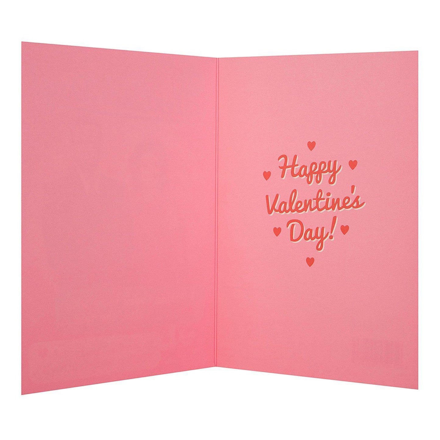 Hallmark Humour Funny Valentine's Day Card 'So Well Trained' 