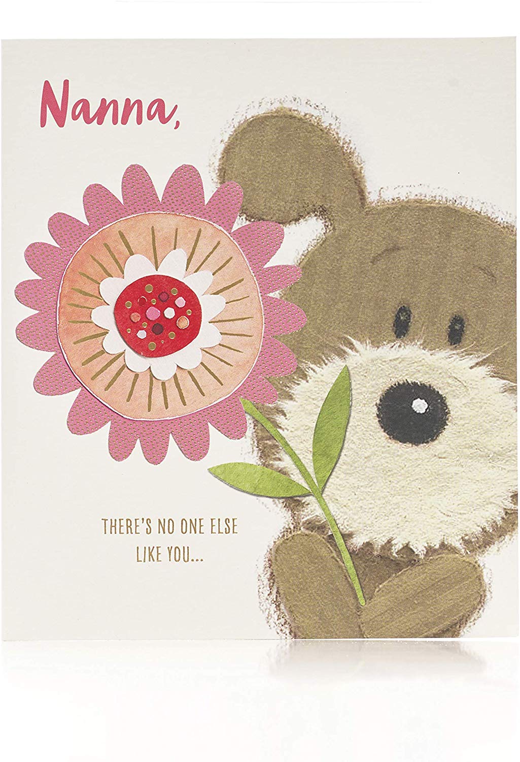 For a Nanna Adorable Lots of Woof Mother's Day Card