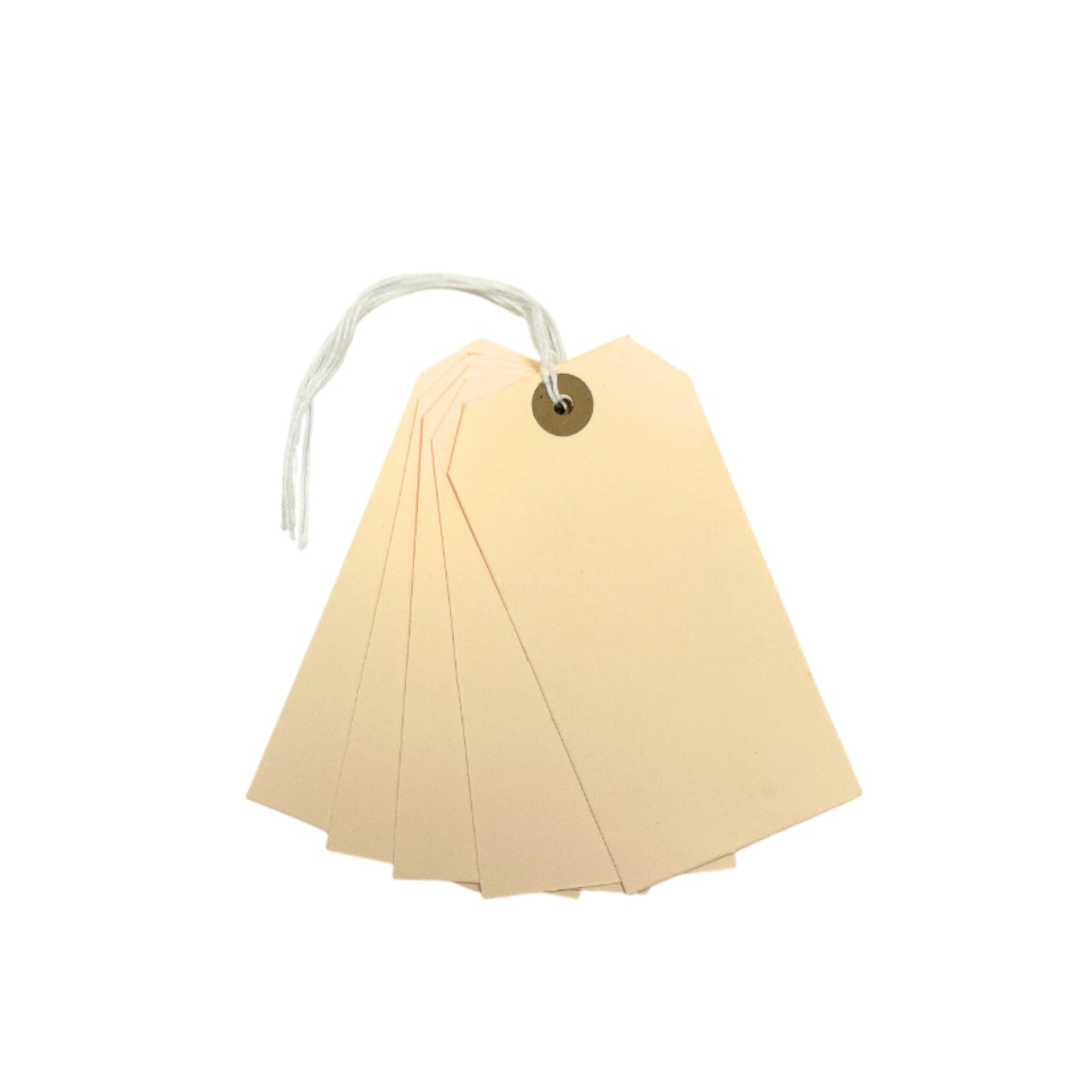 Pack of 20 Manila Luggage Strung Tags 60 x 120mm