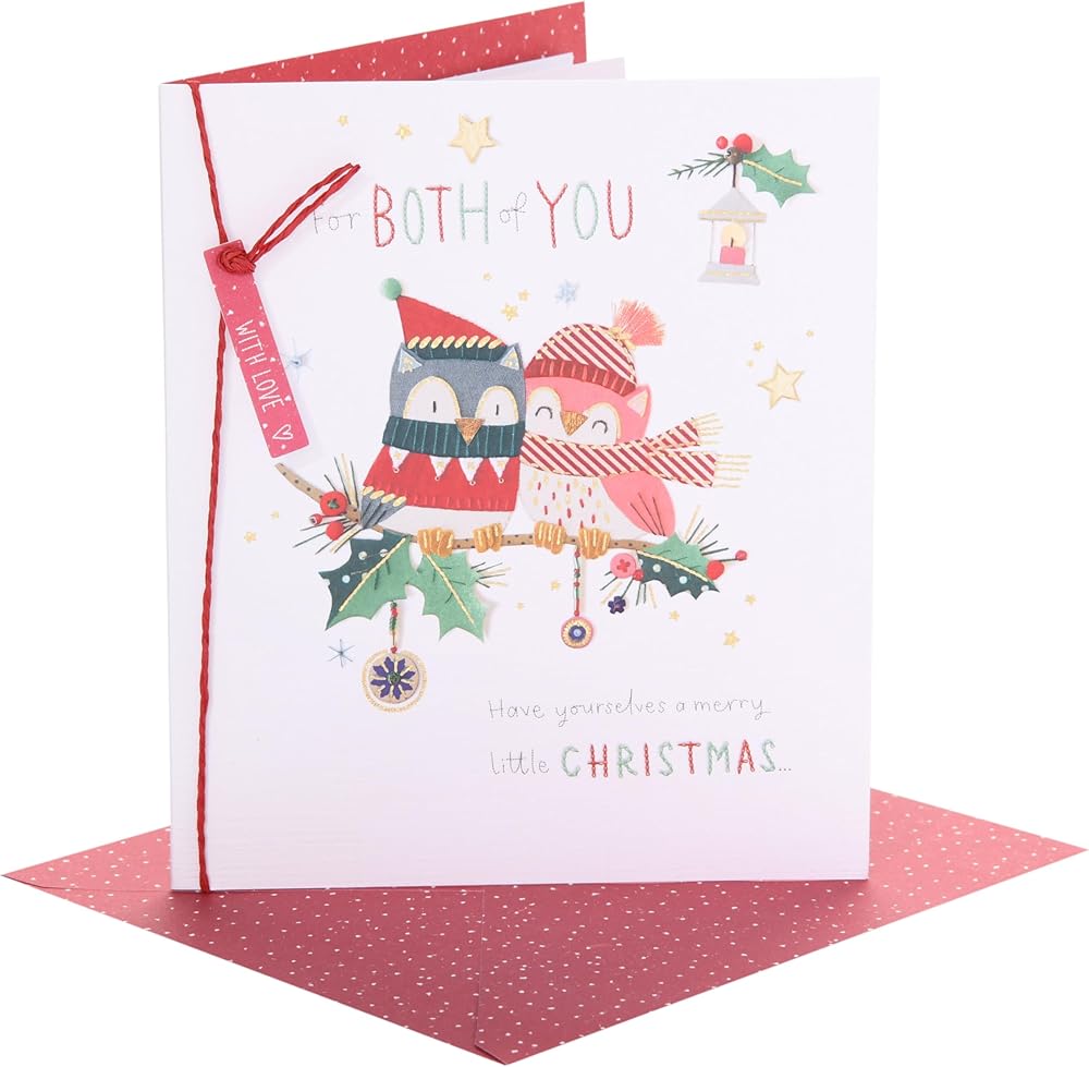 Owls Sitting on a Branch Both of You Christmas Card