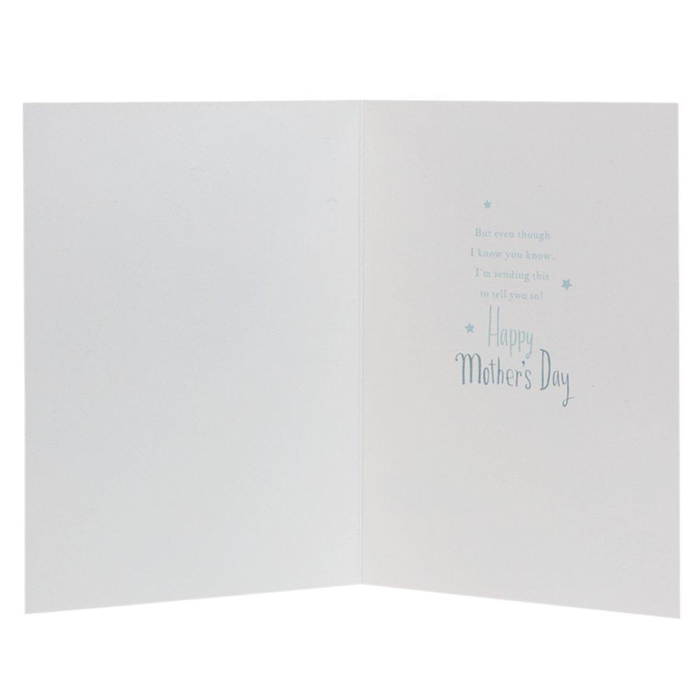 'Cute Dylan and Thomas 3D Character' Mother's Day Card