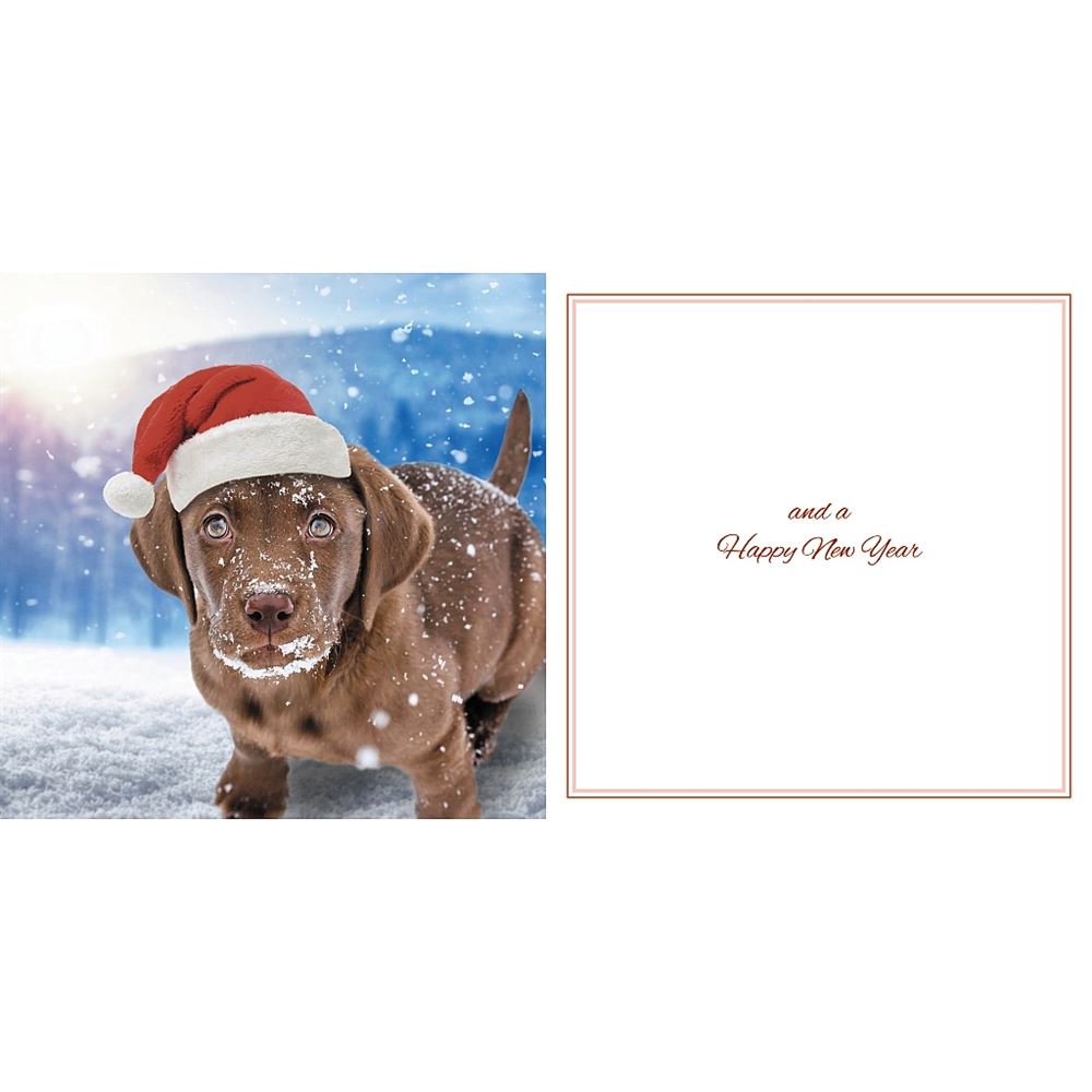 Chocolate Lab In Santa Hat Photographic 3D Lenticular Merry Christmas Card with Detachable Keepsake