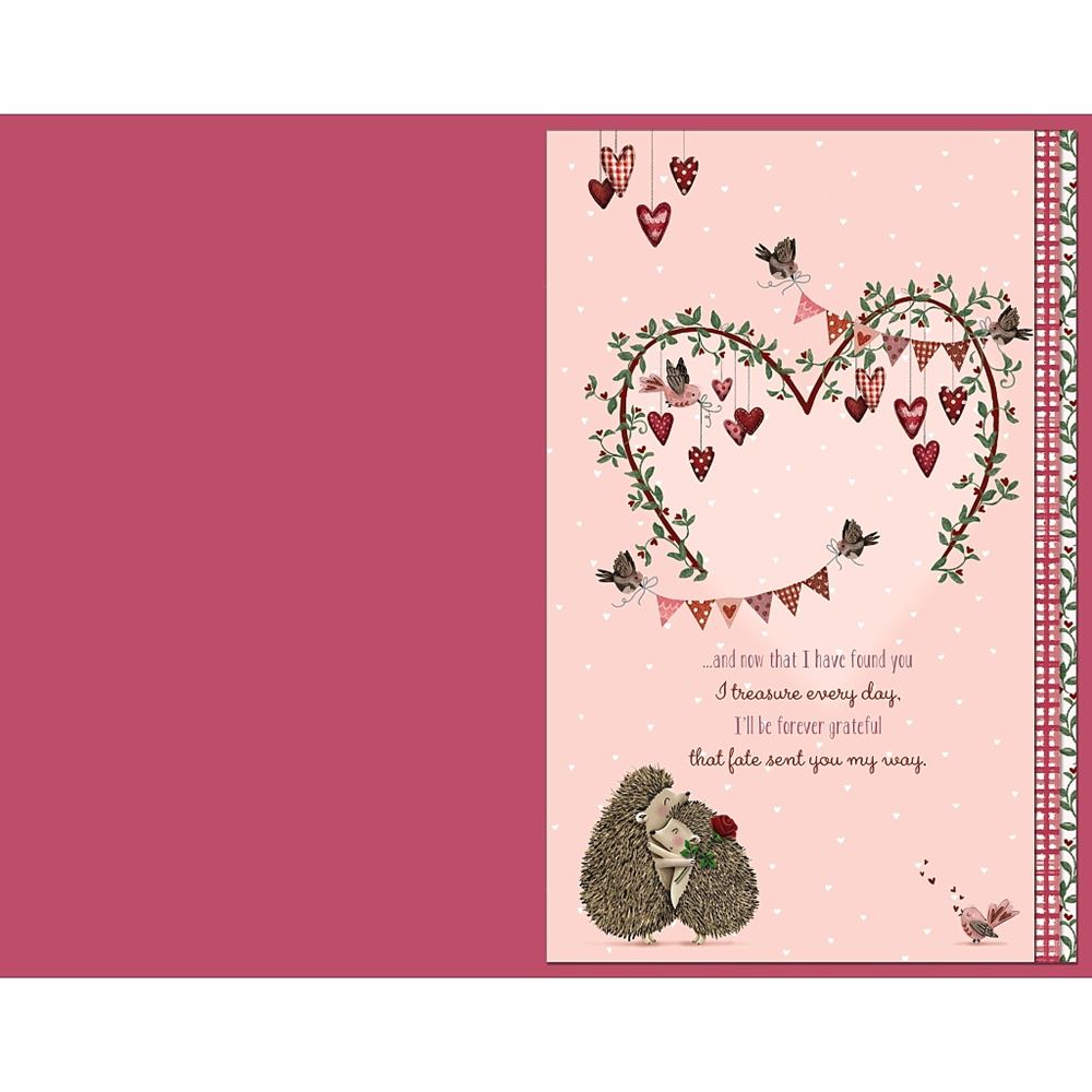 Hedgehogs With Roses Girlfriend Luxury Handmade Valentine's Day Card