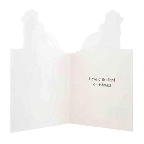 Penguin Charity Christmas Cards 8 Pack