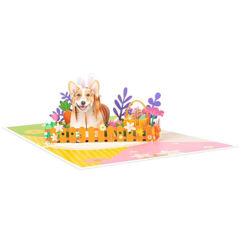 Bloom & Bark Corgi in Bunny Ears 3D Pop Up Easter Card