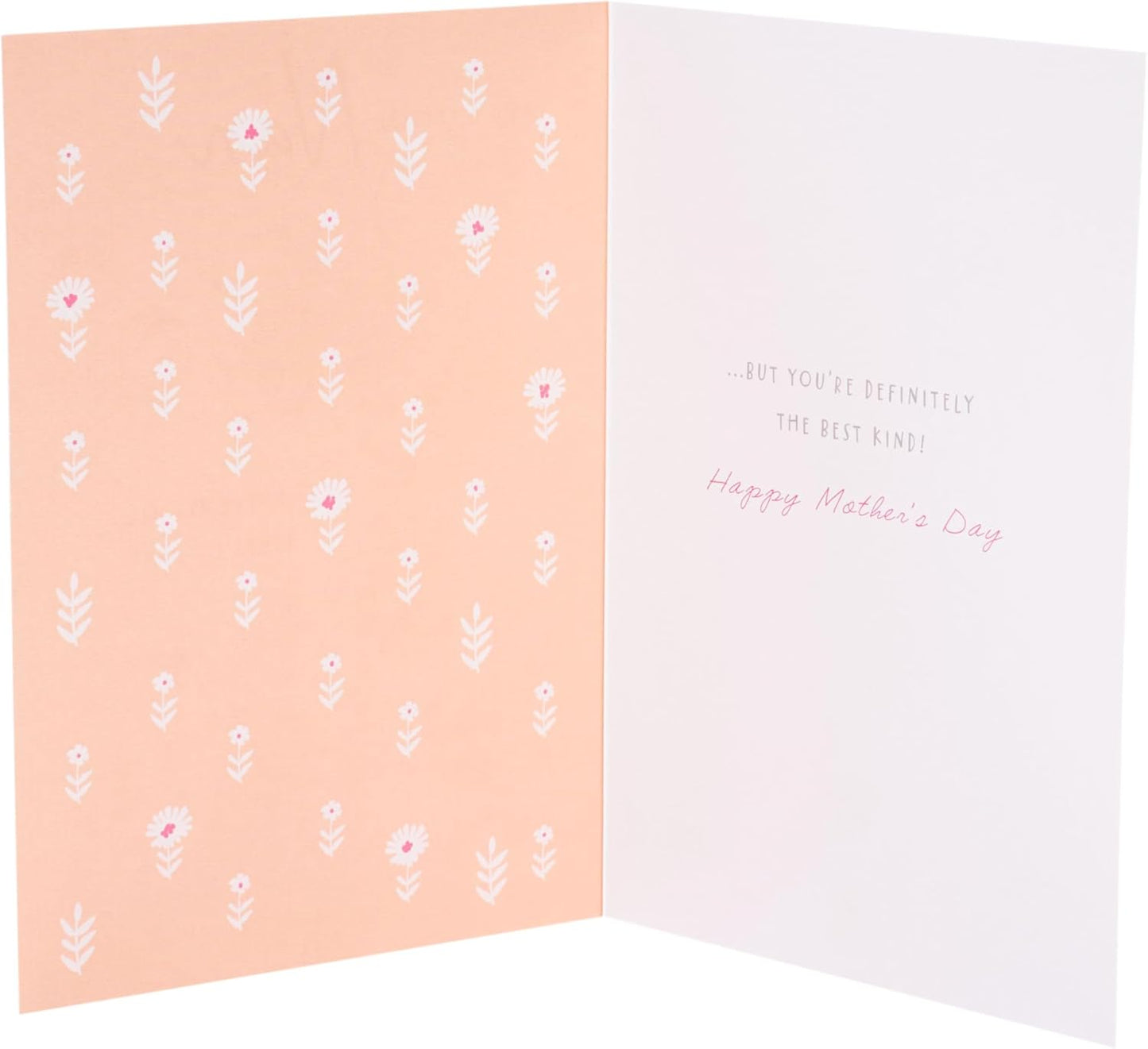 Cute Teddy Design Nan Mother's Day Card