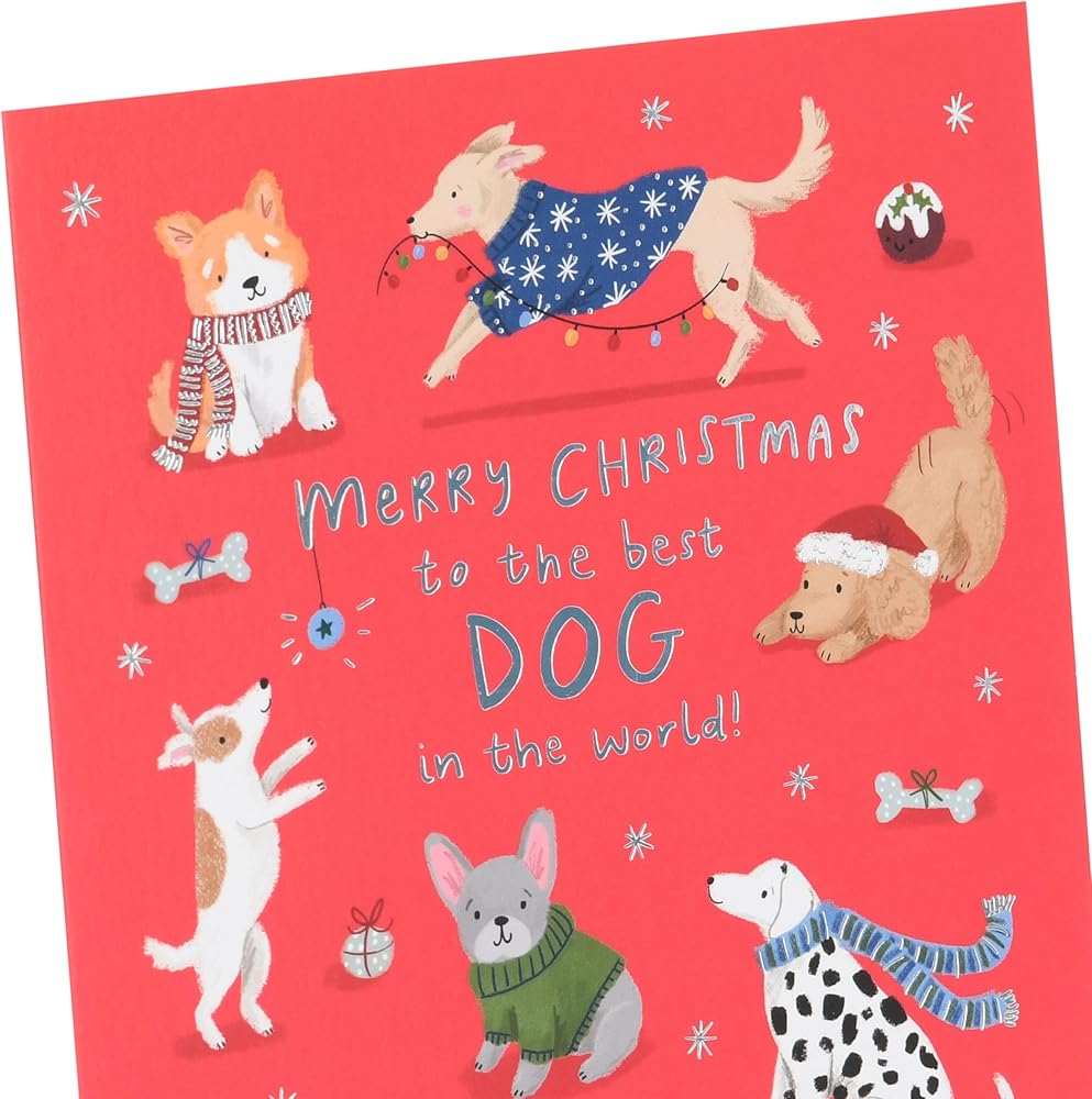 Best Dog In The World Christmas Card