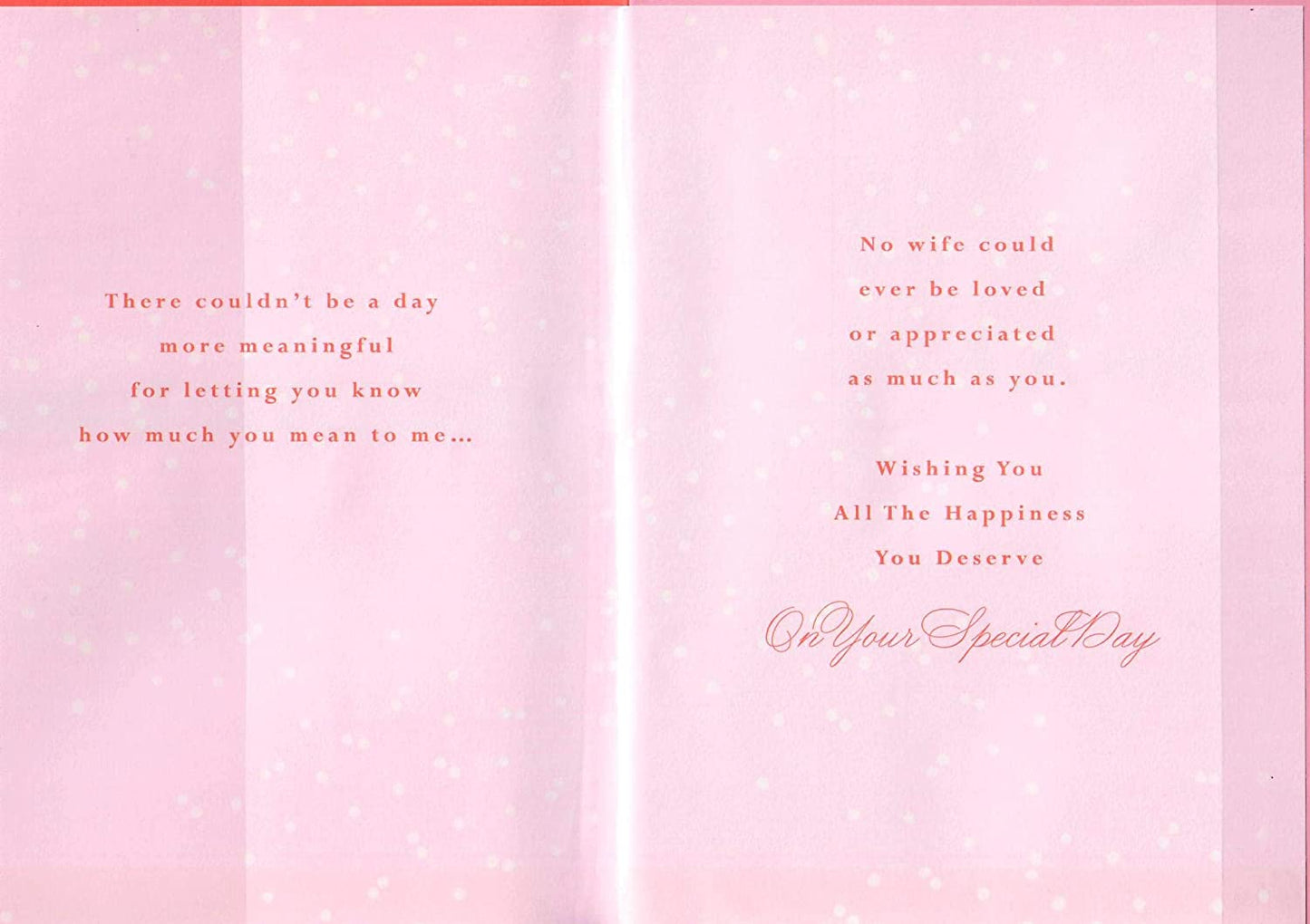 Hallmark A Thank You to My Wife Birthday Card