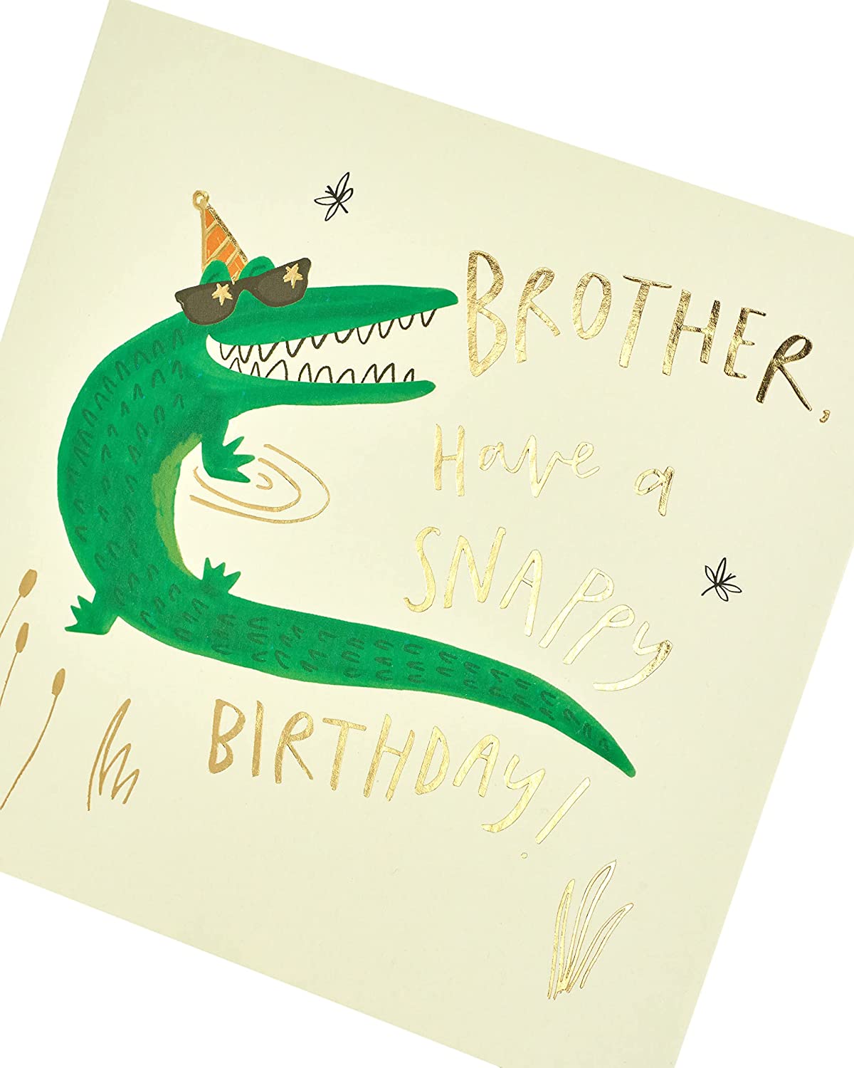 Funny Crococile with Pun Brother Birthday Card