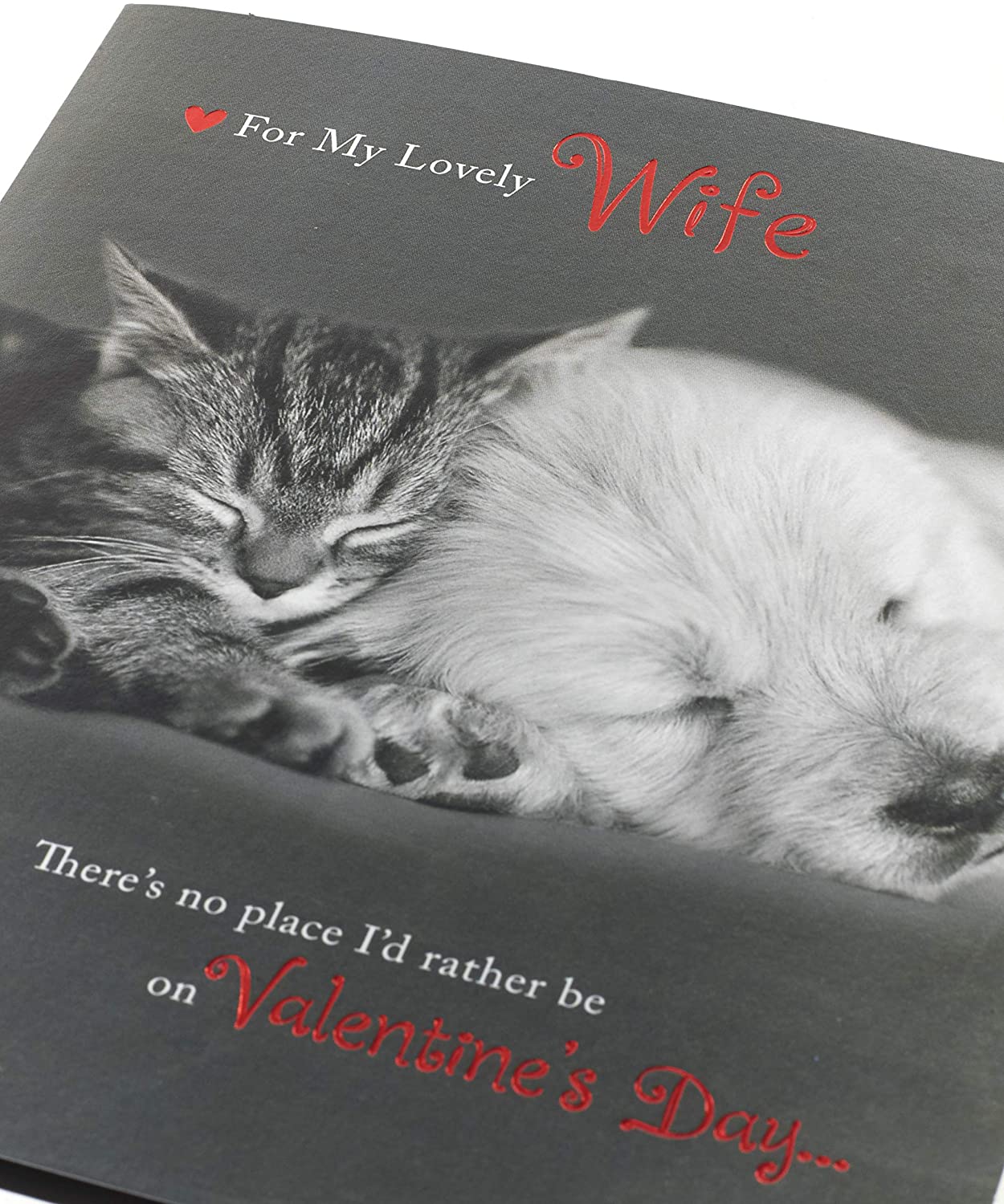 Wife Cute Kitten & Puppy Talk To The Paw Valentine's Day Greeting Card