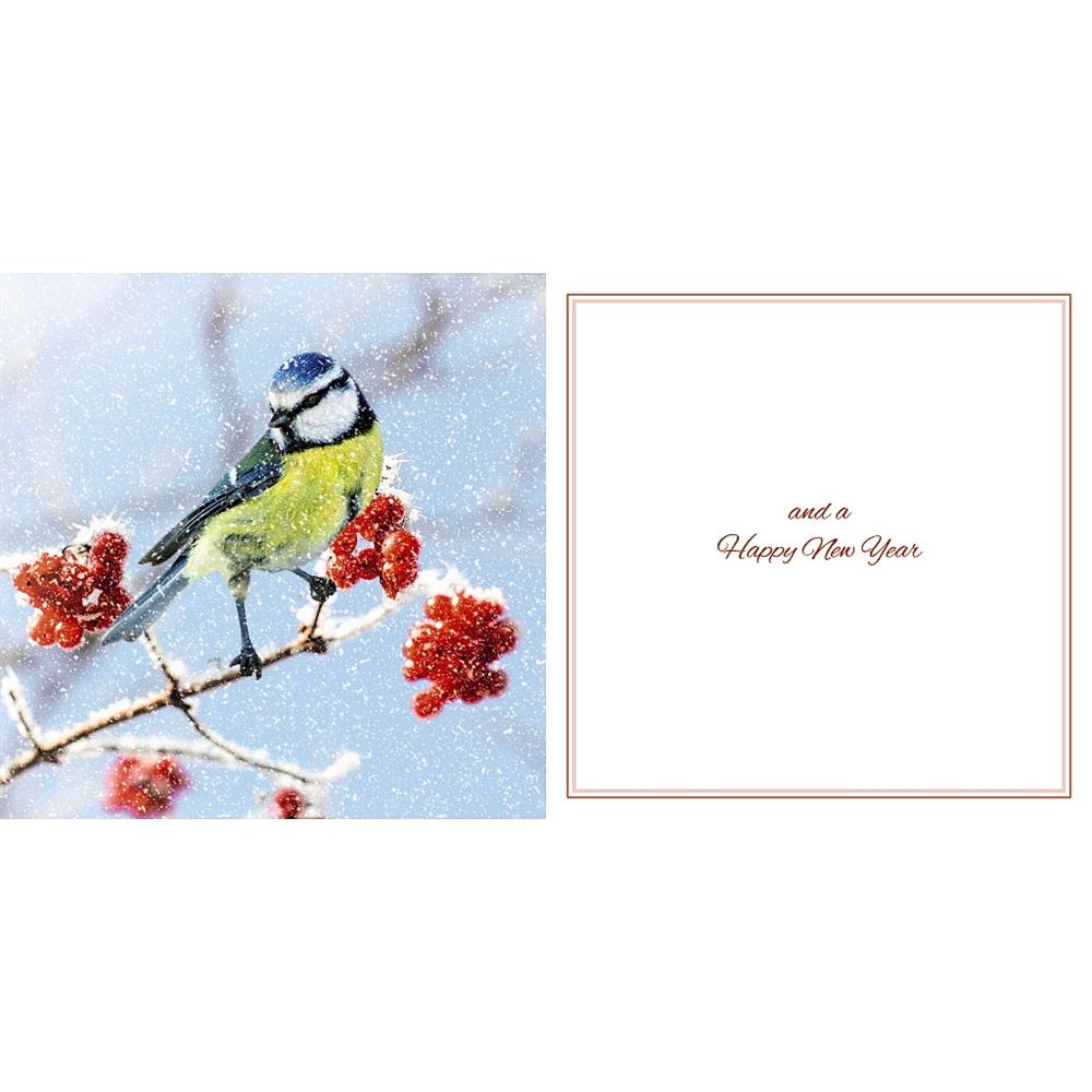 Blue Tit On Berry Branch Photographic 3D Lenticular Merry Christmas Card with Detachable Keepsake