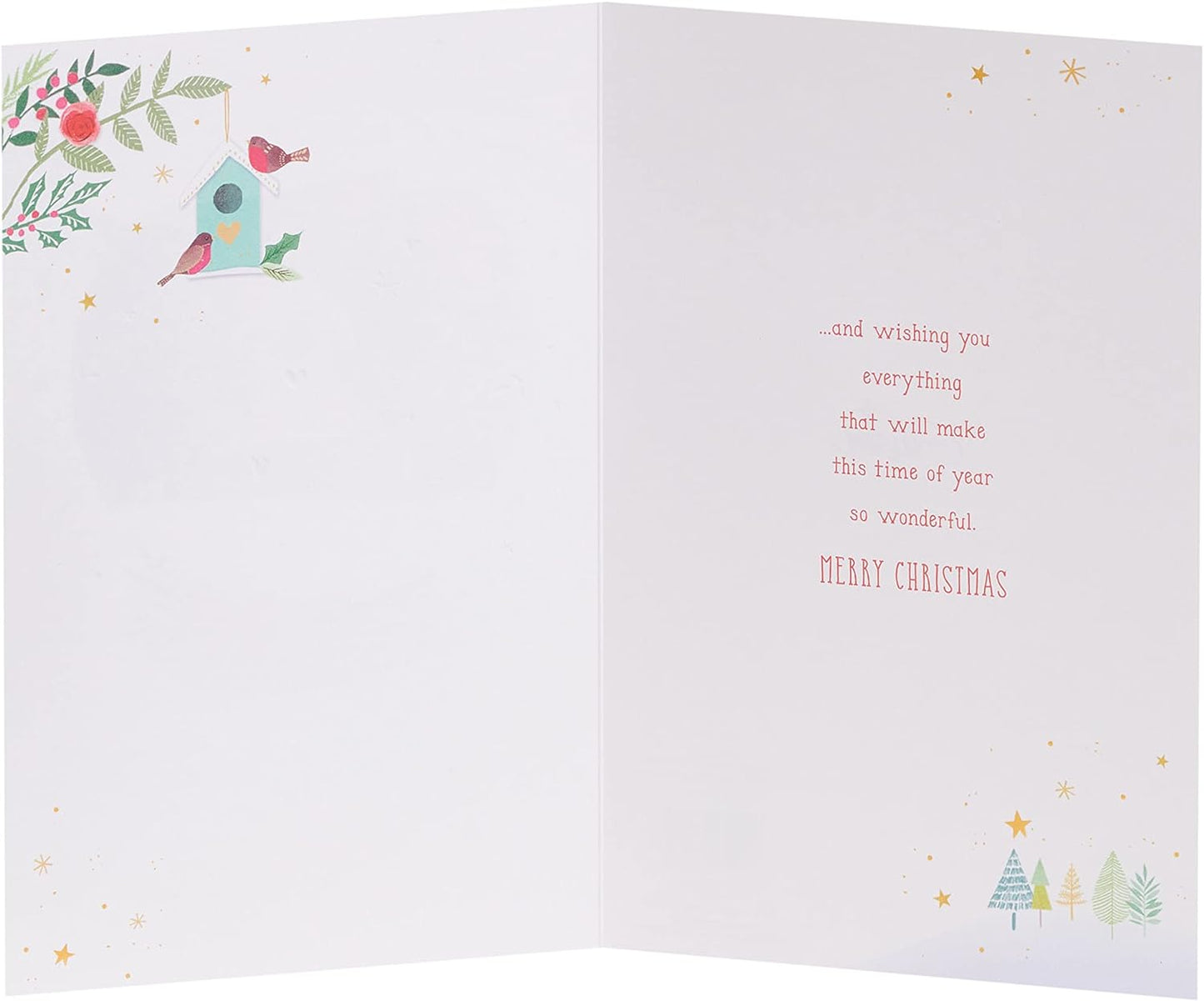 Sister & ... Multi Caption Christmas Card With Stick On Captions