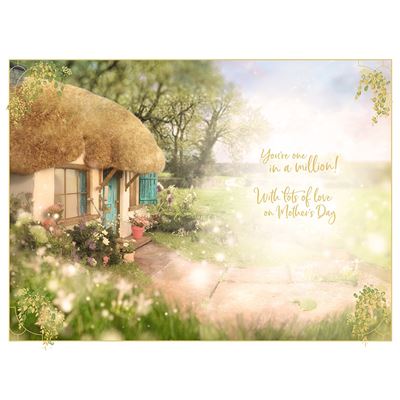 For A Lovely Nan Bear Planting Flower Photo Finish Mother's Day Card