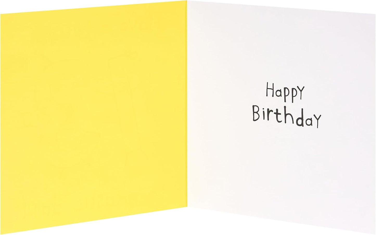 Fun Birthday Design 13th Birthday Card