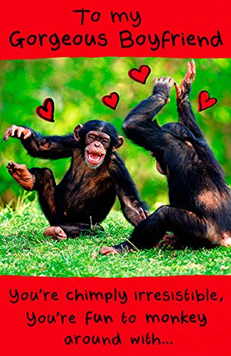 To Gorgeous Boyfriend Funny Monkey Humour Valentine's Day Card