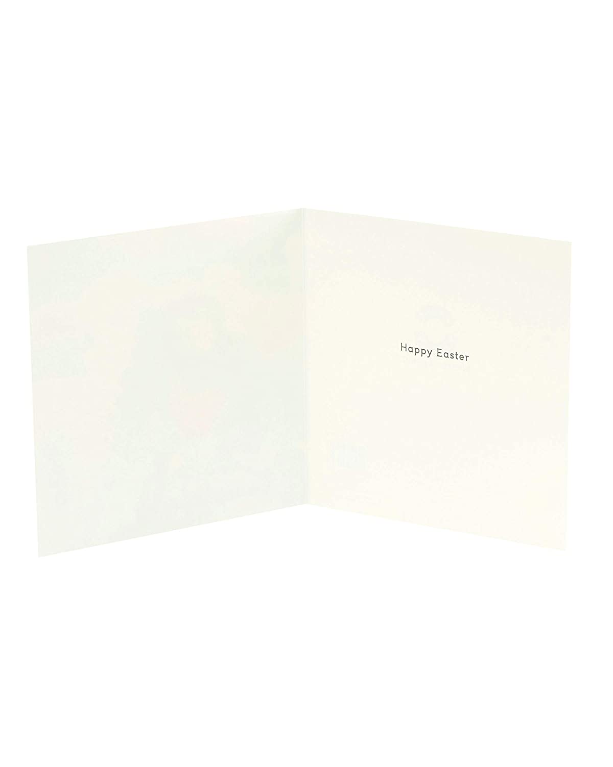 Cute Lamb Photographic Blank Easter Greetings Card