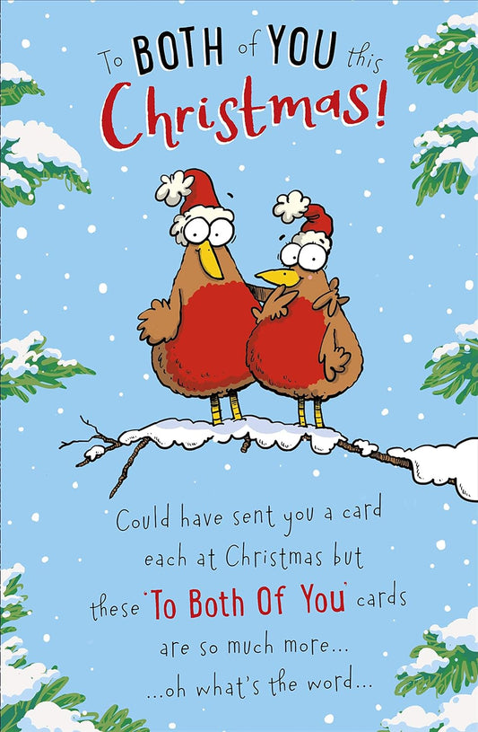 To Both of You Funny Robin Couple Christmas Card