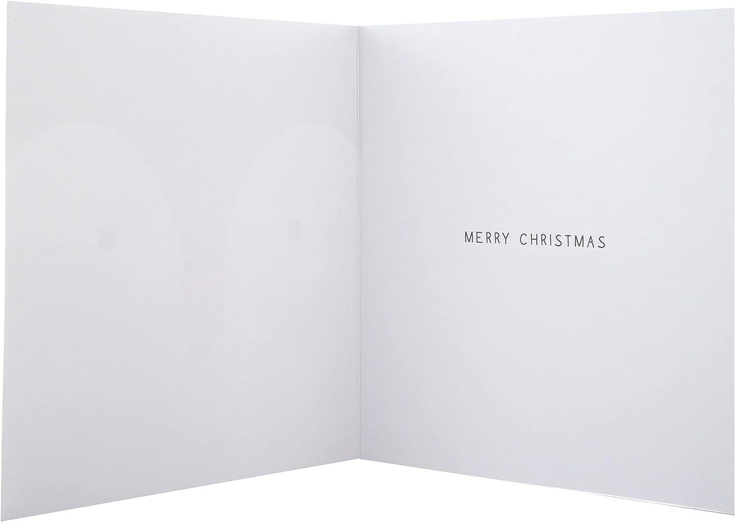 Cute Santa and Penguin Design Pack of 16 Charity Christmas Cards