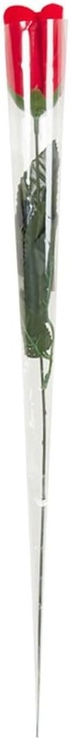 Pack of 12 Roses In Acetate Wrap 45cm - Christmas Valentine Mother's Day Wedding Gift