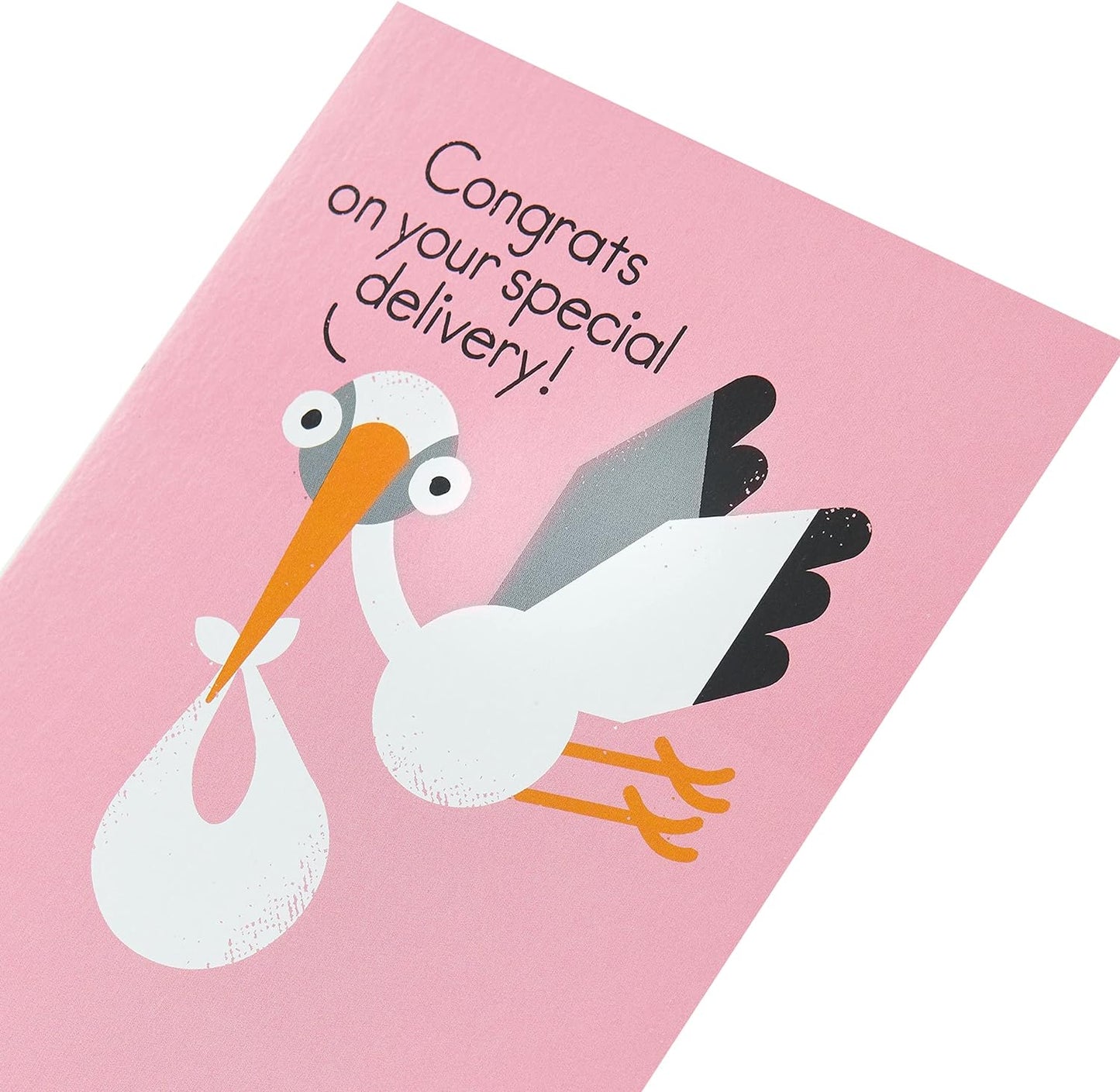 Kindred X David Olenick Special Delivery Baby Girl Blank Card