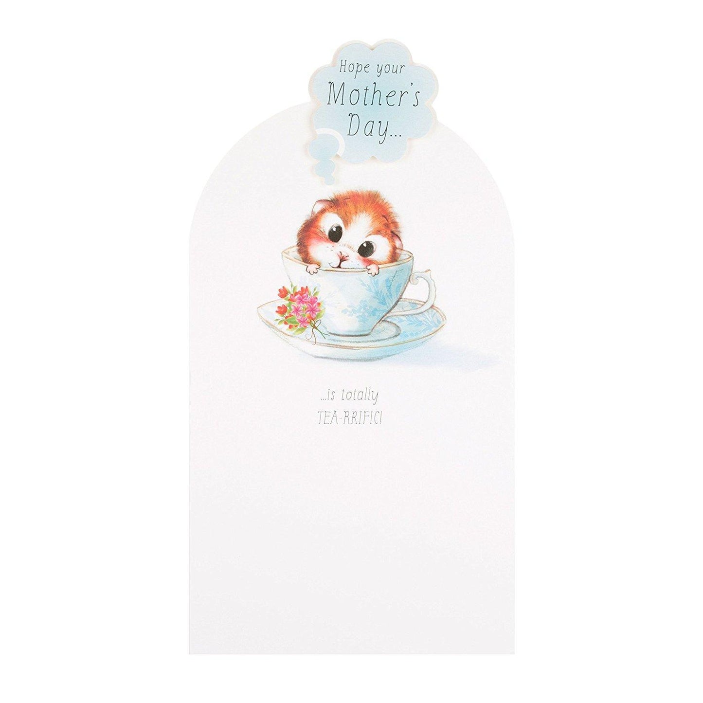 'Terrific' Adorable 3D Mother's Day Card