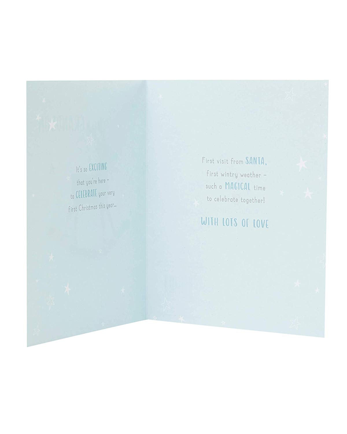 Grandson's First Christmas Card Reindeer