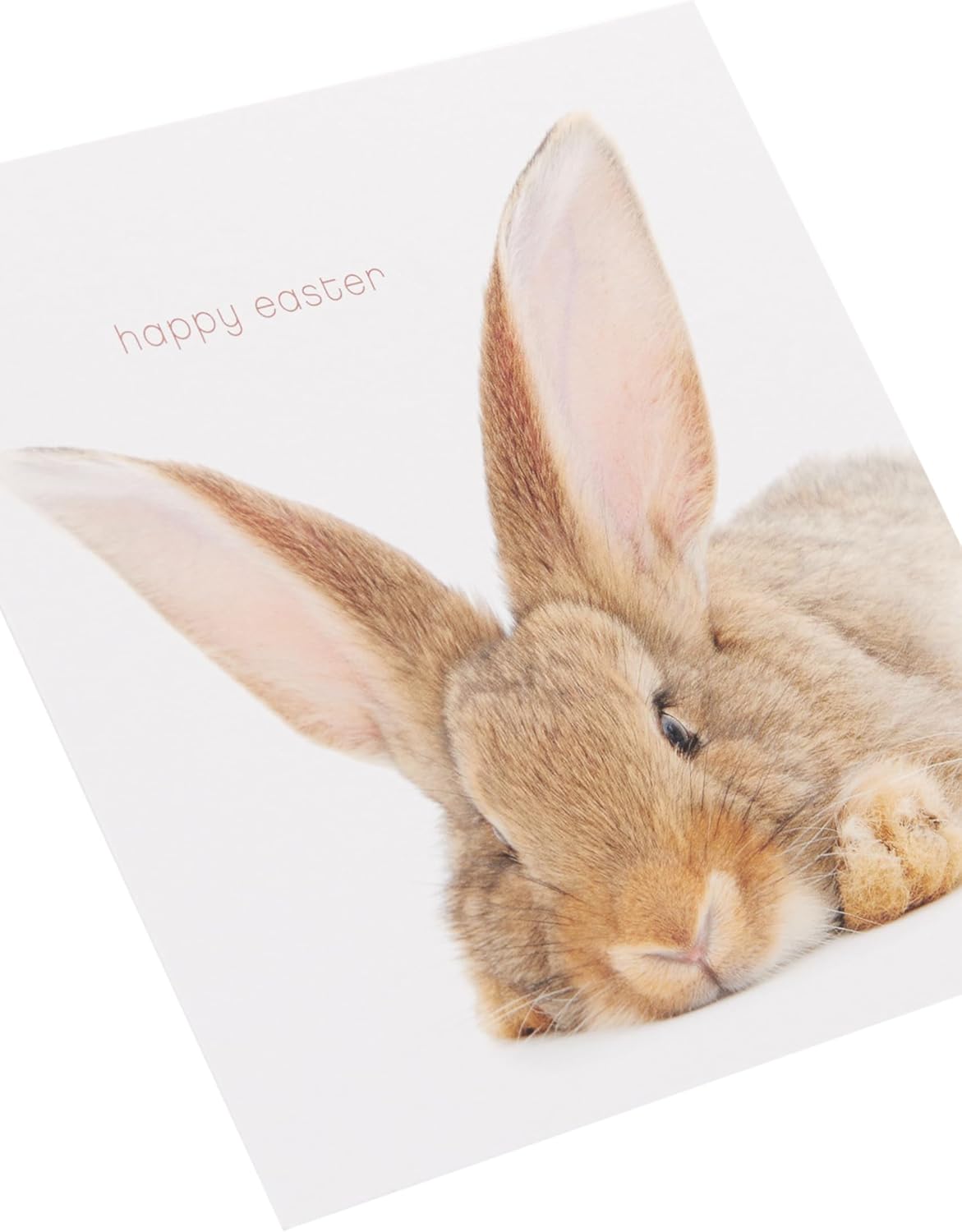 Cute Rabbit Design Easter Card