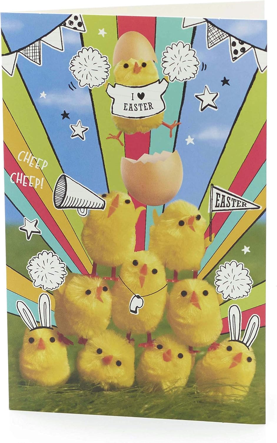 Fluffy Chicks Design Pack of 5 Easter Cards