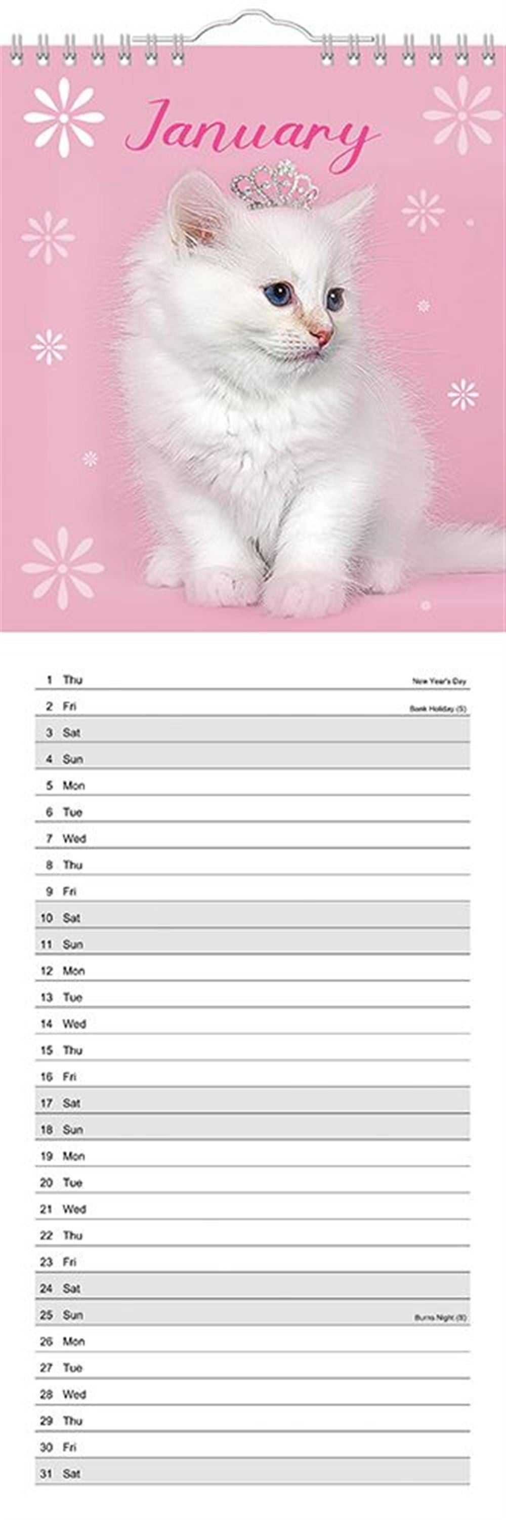 Slim Month To View Calendar 2026 – Photographic Cats – 143mm x 417mm
