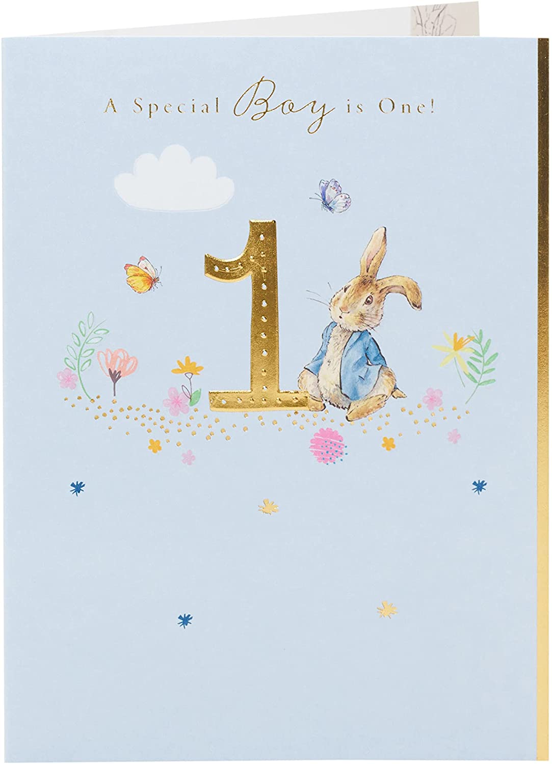 Peter Rabbit Age 1 Special Boy Birthday Card