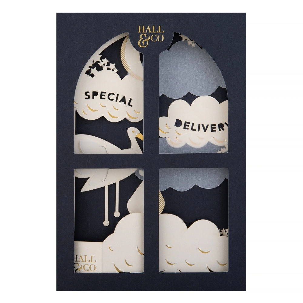 Premium 3D 'Special Delivery' New Baby Card Paper Fables