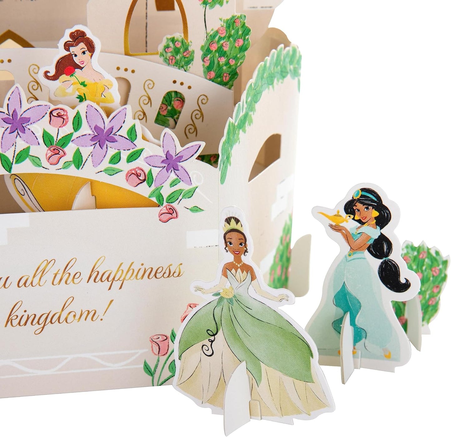 3D Pop Up Disney Princesses Design Birthday Card