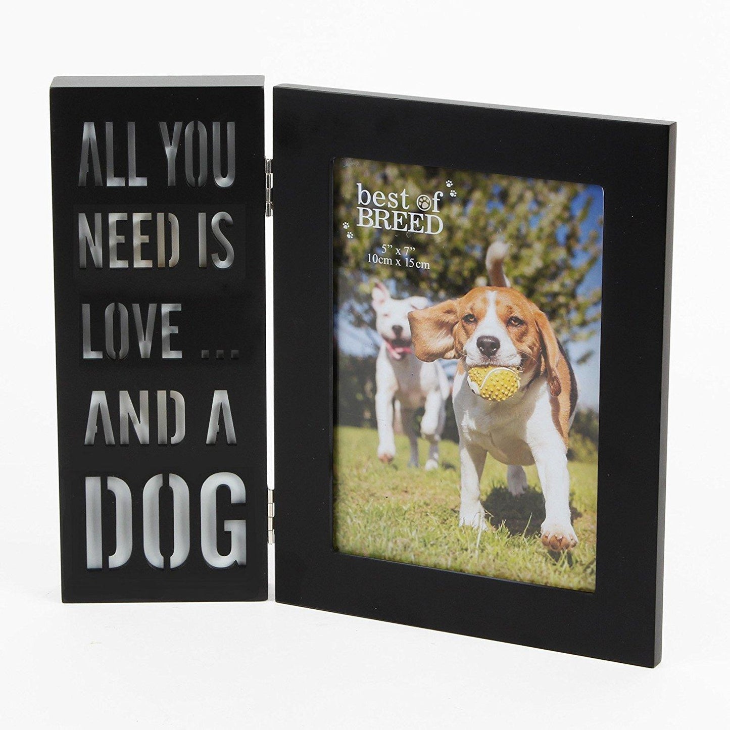 All you need is love and a dog' LED Freestanding Black Photo Frame