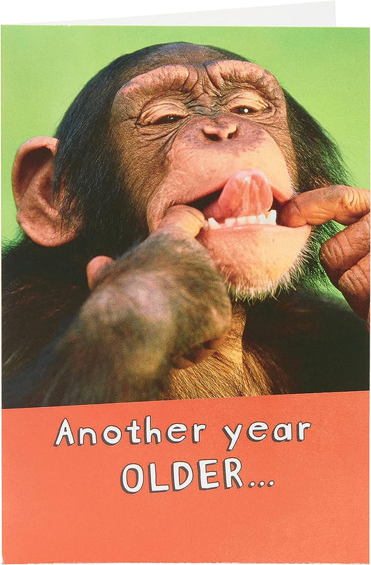 Funny Photographic Monkey Design Birthday Card