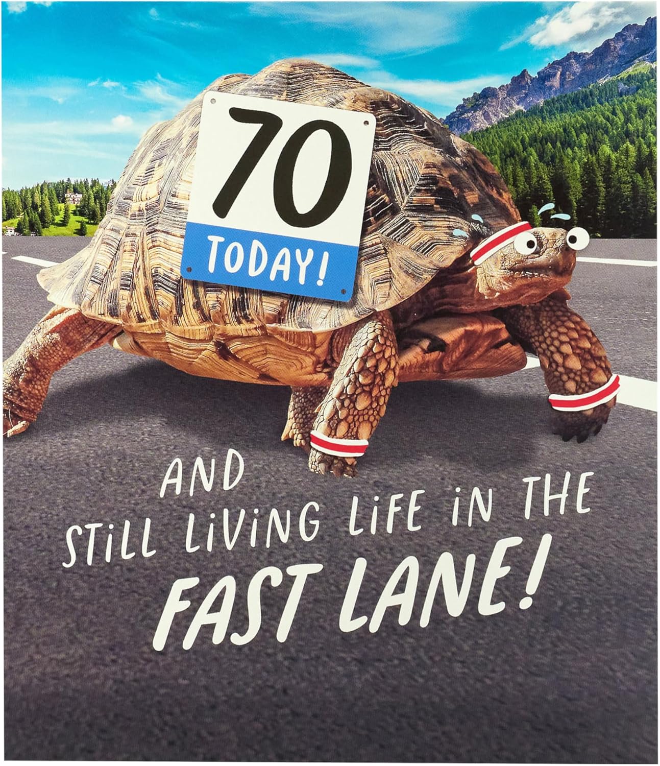 Funny Tortoise Design 70th Birthday Card