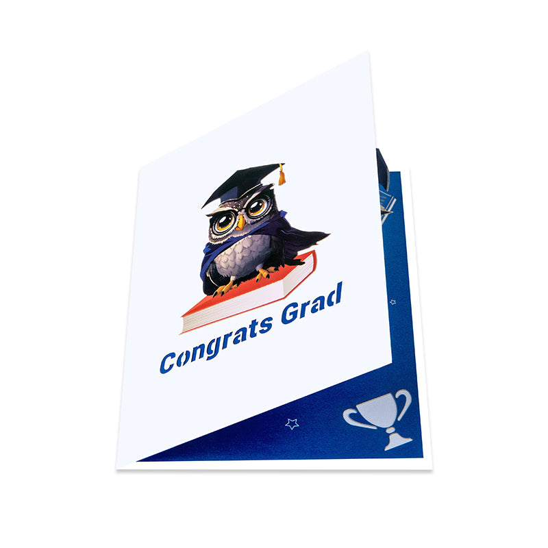 Owl Celebration Scene 3D Pop Up Graduation Congratulations Card