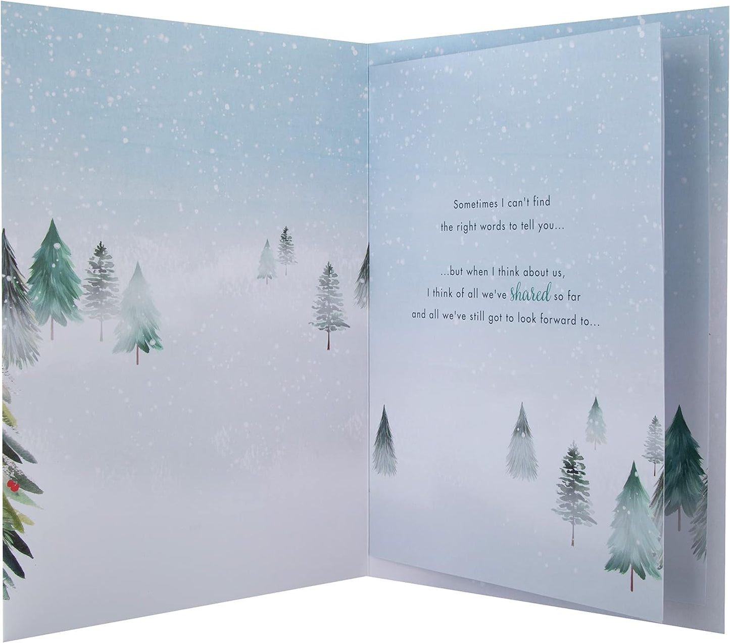 Classic Winter Scene with Tree Design Boxed Christmas Card for Fiancée