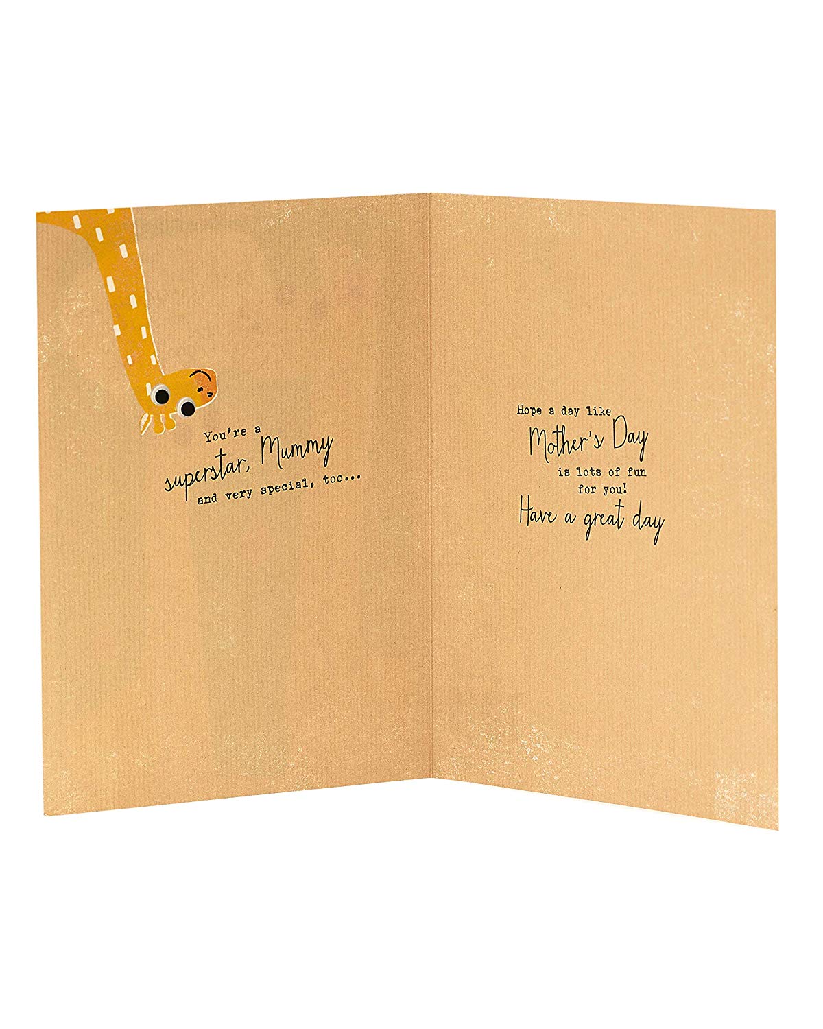 To The Best Mummy Ever From Your Biggest Fan Mother's Day Card