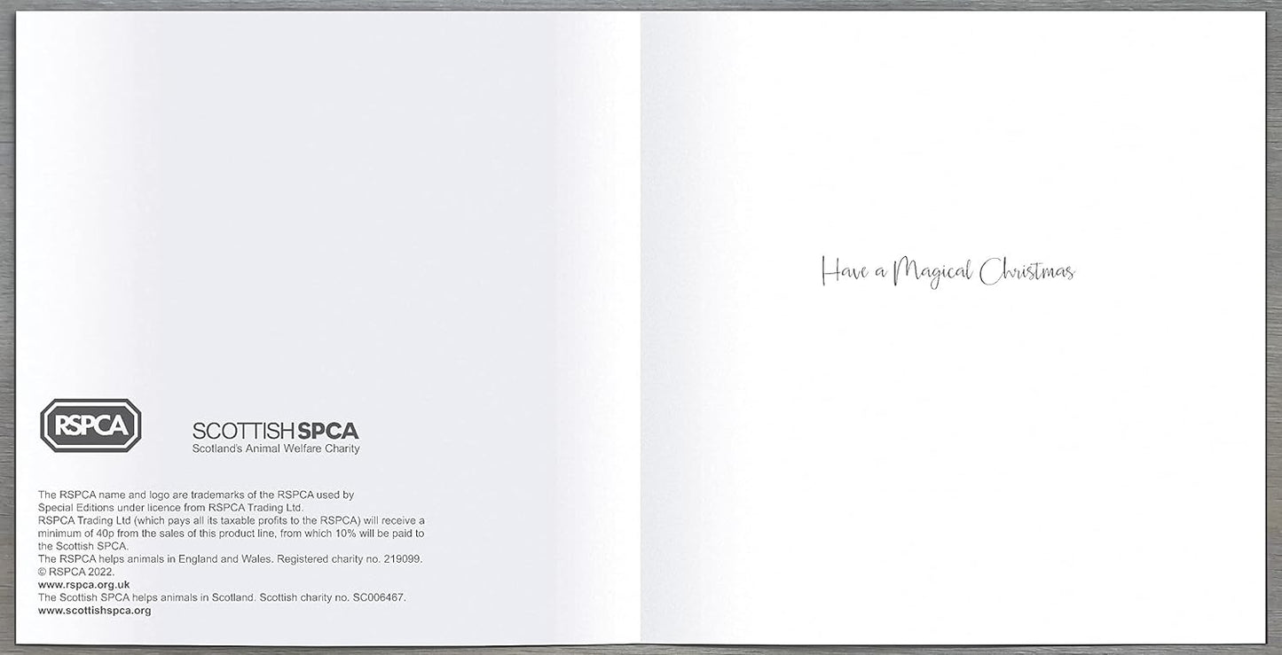 Pack of 8 Santa Climbing The Chimney RSPCA Charity Christmas Cards