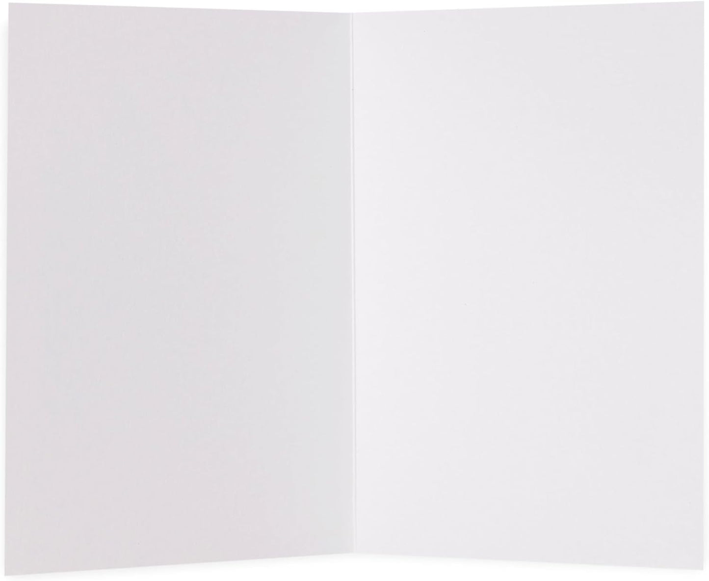 Kindred X David Olenick Special Delivery Baby Girl Blank Card