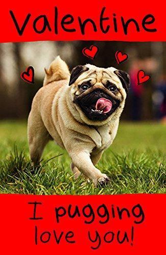Humorous Pug Valentine's Day Card