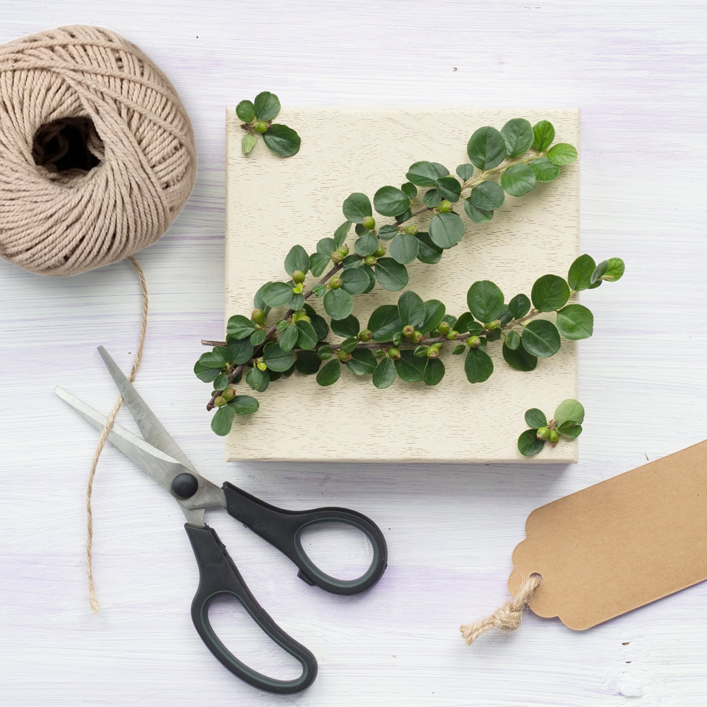 Pack of 18 Cotton Twine Rolls 9 Ply 30g Per Roll for Crafting and Packaging