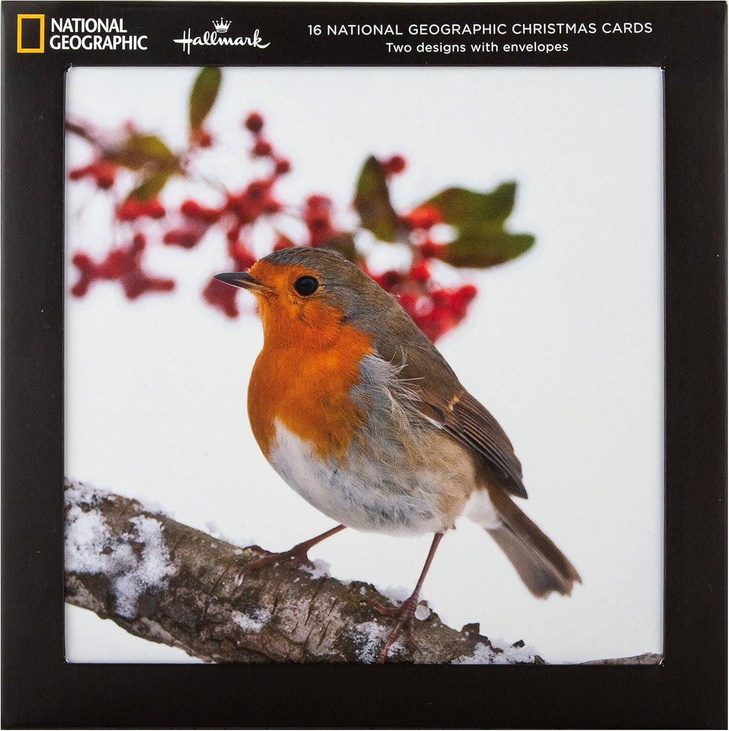 Pack of 16 in 2 National Geographic Designs Christmas Cards