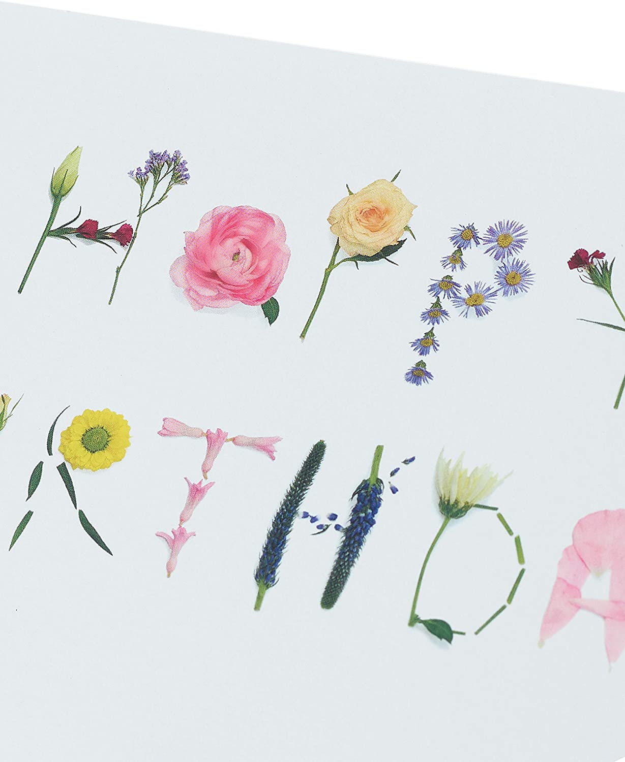 Different Parts of Plants Flower Design Beautiful Birthday Card