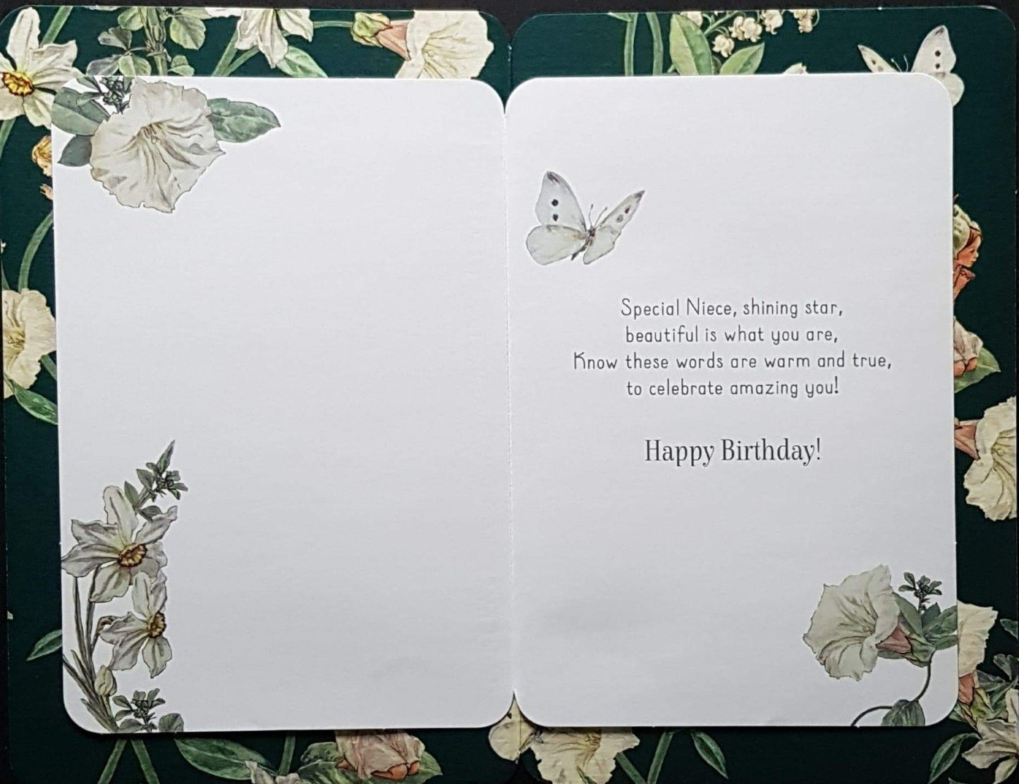 Niece Birthday Card A Beautiful Fairy On The Leaf
